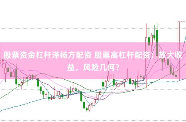 股票资金杠杆泽杨方配资 股票高杠杆配资：放大收益，风险几何？