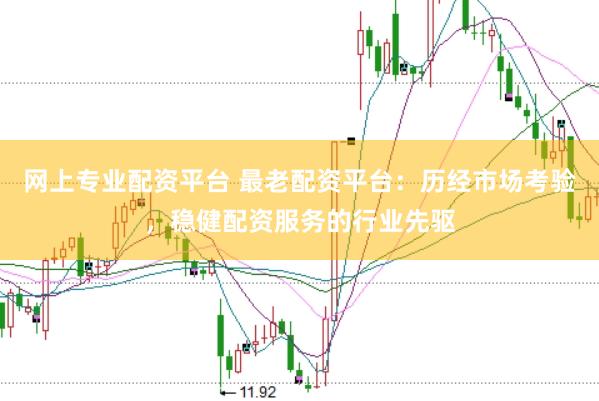网上专业配资平台 最老配资平台：历经市场考验，稳健配资服务的行业先驱