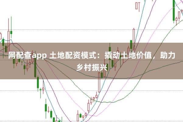 网配查app 土地配资模式：撬动土地价值，助力乡村振兴