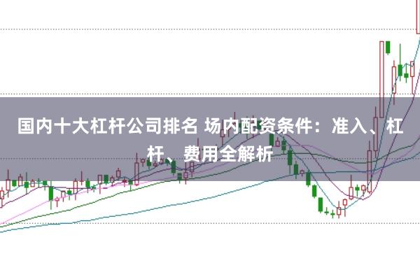 国内十大杠杆公司排名 场内配资条件：准入、杠杆、费用全解析