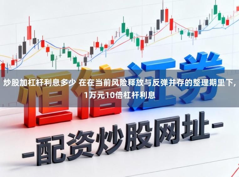 炒股加杠杆利息多少 在在当前风险释放与反弹并存的整理期里下,1万元10倍杠杆利息