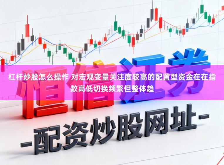 杠杆炒股怎么操作 对宏观变量关注度较高的配置型资金在在指数高低切换频繁但整体趋