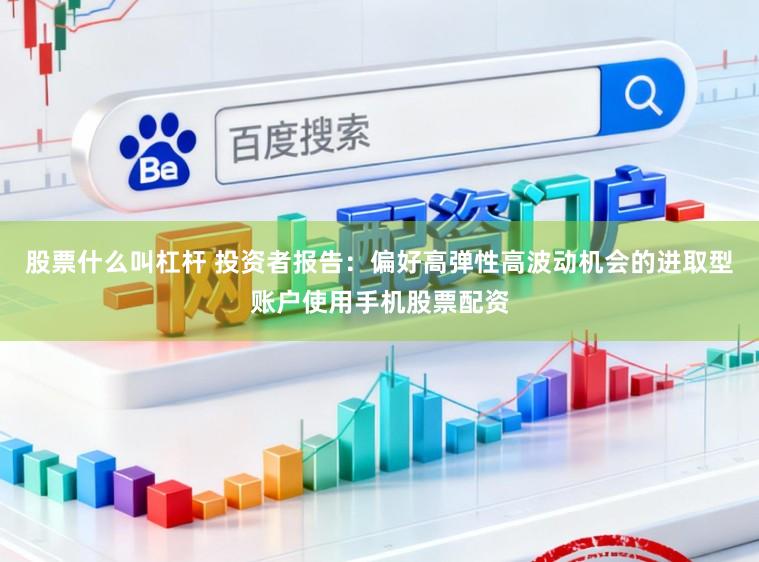 股票什么叫杠杆 投资者报告：偏好高弹性高波动机会的进取型账户使用手机股票配资